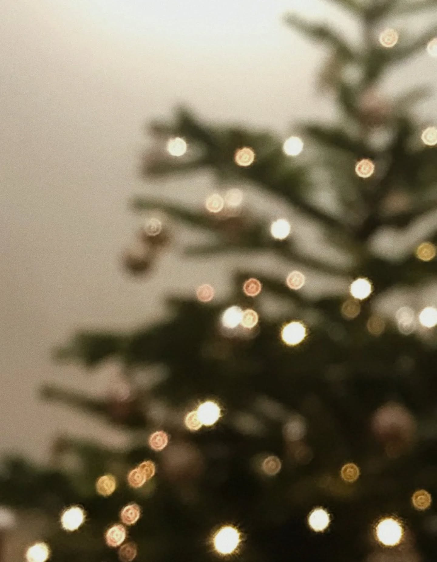 589116349 18553369414059532 6023672843568494114 N